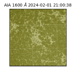 saia - 2024-02-01T21:00:38.129000