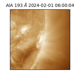 saia - 2024-02-01T06:00:04.844000