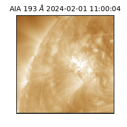 saia - 2024-02-01T11:00:04.843000