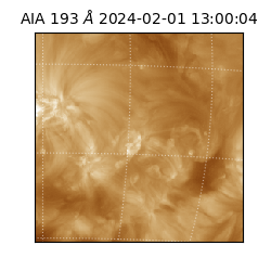 saia - 2024-02-01T13:00:04.843000