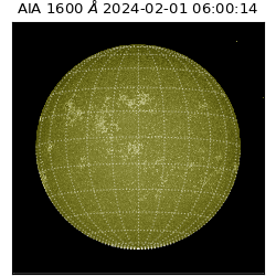 saia - 2024-02-01T06:00:14.126000