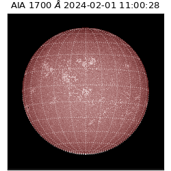 saia - 2024-02-01T11:00:28.718000