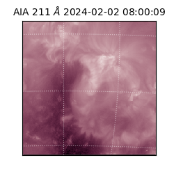 saia - 2024-02-02T08:00:09.622000