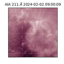 saia - 2024-02-02T09:00:09.626000