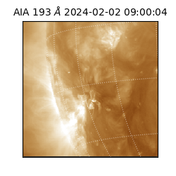 saia - 2024-02-02T09:00:04.843000