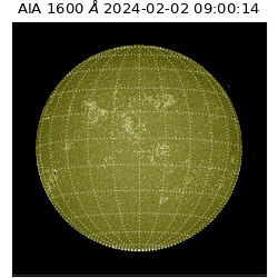 saia - 2024-02-02T09:00:14.125000