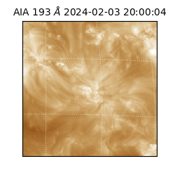 saia - 2024-02-03T20:00:04.843000