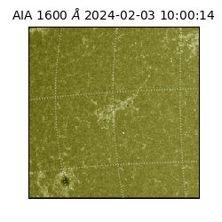 saia - 2024-02-03T10:00:14.132000