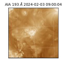 saia - 2024-02-03T09:00:04.843000