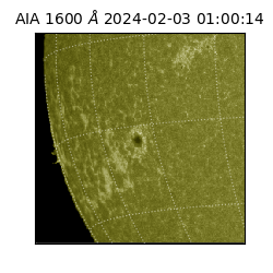 saia - 2024-02-03T01:00:14.133000