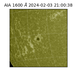 saia - 2024-02-03T21:00:38.131000