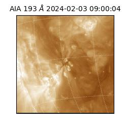saia - 2024-02-03T09:00:04.843000
