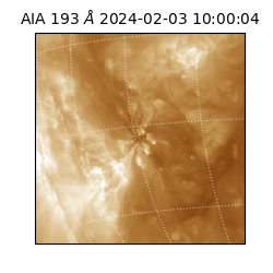 saia - 2024-02-03T10:00:04.843000