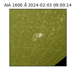 saia - 2024-02-03T09:00:14.132000