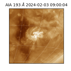 saia - 2024-02-03T09:00:04.843000