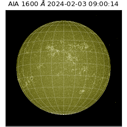 saia - 2024-02-03T09:00:14.132000
