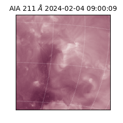 saia - 2024-02-04T09:00:09.626000