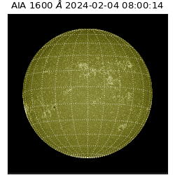 saia - 2024-02-04T08:00:14.126000