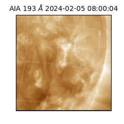 saia - 2024-02-05T08:00:04.843000