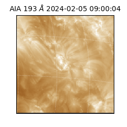 saia - 2024-02-05T09:00:04.835000