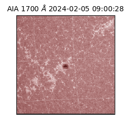 saia - 2024-02-05T09:00:28.721000