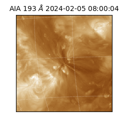 saia - 2024-02-05T08:00:04.843000