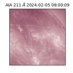 saia - 2024-02-05T08:00:09.626000