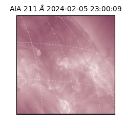 saia - 2024-02-05T23:00:09.630000