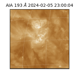 saia - 2024-02-05T23:00:04.843000
