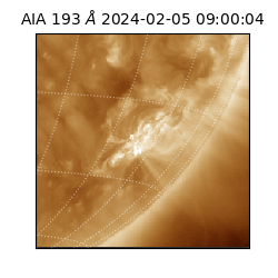 saia - 2024-02-05T09:00:04.835000