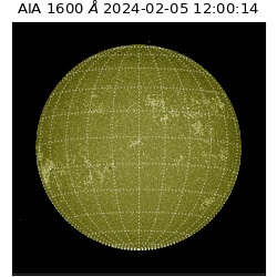 saia - 2024-02-05T12:00:14.121000