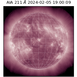 saia - 2024-02-05T19:00:09.630000