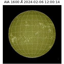 saia - 2024-02-06T12:00:14.126000