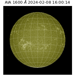 saia - 2024-02-08T16:00:14.130000