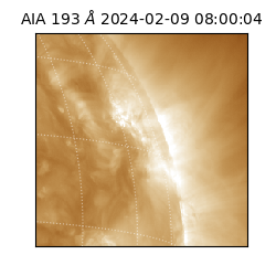 saia - 2024-02-09T08:00:04.843000