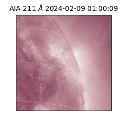 saia - 2024-02-09T01:00:09.630000