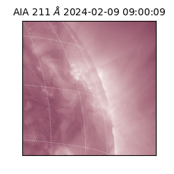 saia - 2024-02-09T09:00:09.637000