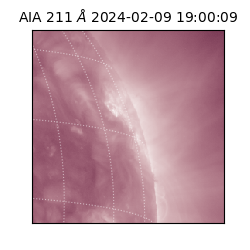 saia - 2024-02-09T19:00:09.630000