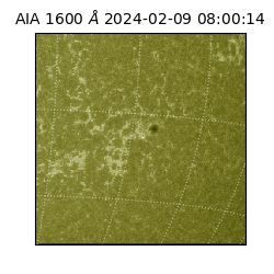 saia - 2024-02-09T08:00:14.126000