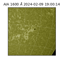 saia - 2024-02-09T19:00:14.126000