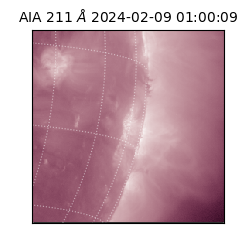 saia - 2024-02-09T01:00:09.630000