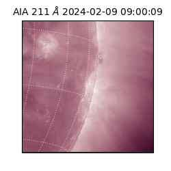 saia - 2024-02-09T09:00:09.637000