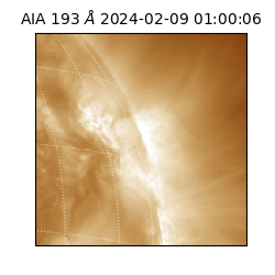 saia - 2024-02-09T01:00:06.035000