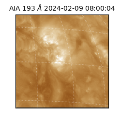 saia - 2024-02-09T08:00:04.843000