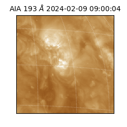 saia - 2024-02-09T09:00:04.843000