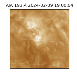 saia - 2024-02-09T19:00:04.843000