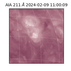 saia - 2024-02-09T11:00:09.626000