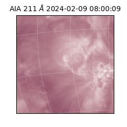 saia - 2024-02-09T08:00:09.634000