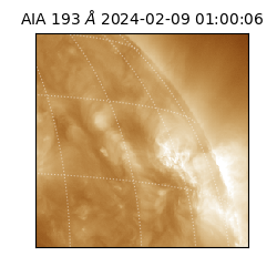 saia - 2024-02-09T01:00:06.035000