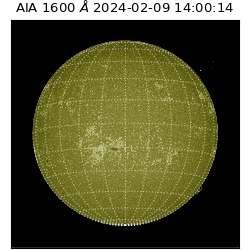 saia - 2024-02-09T14:00:14.122000